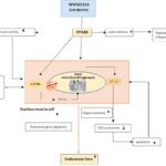 Weight Loss Is a Critical Factor to Reduce Inflammation